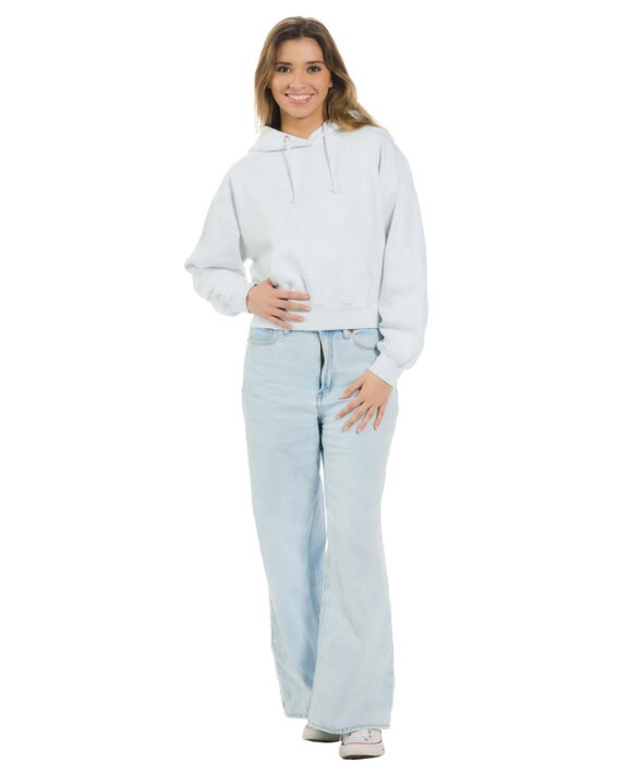 YFL-1265_H-Ash_A_2 YFL-1265_H-Ash_A_2