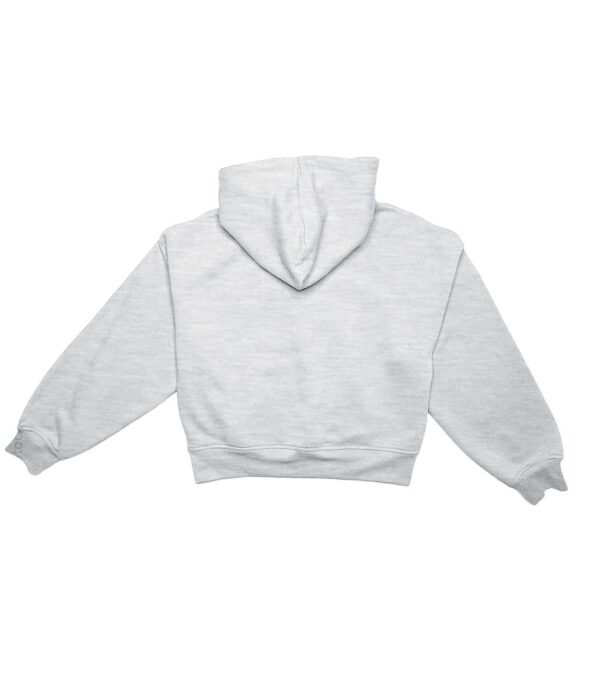 YFL-1265_H-Ash_A_7 YFL-1265_H-Ash_A_7