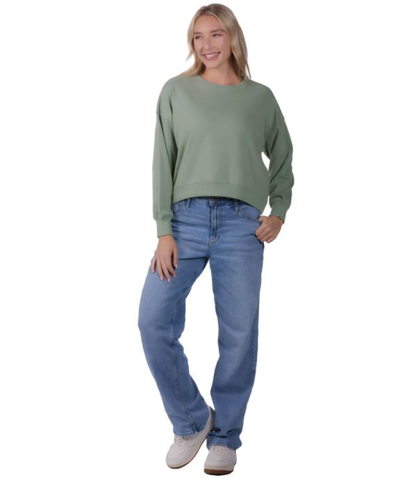 YFR-2259_Avo_A_2 YFR-2259_Avo_A_2