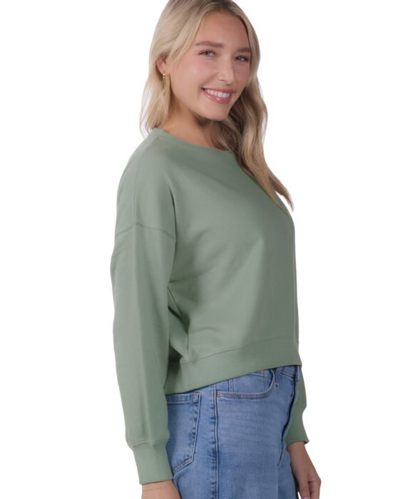 YFR-2259_Avo_A_3 YFR-2259_Avo_A_3